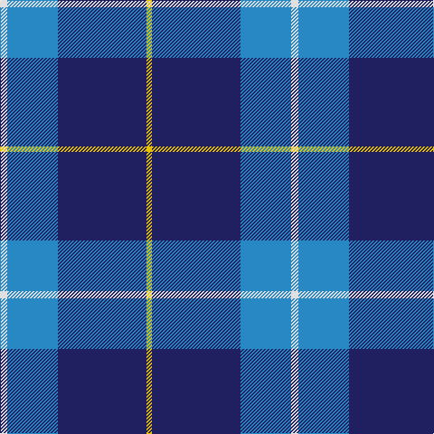 LN/8 B56 DBa98 Y/6 tartan Tartan detail