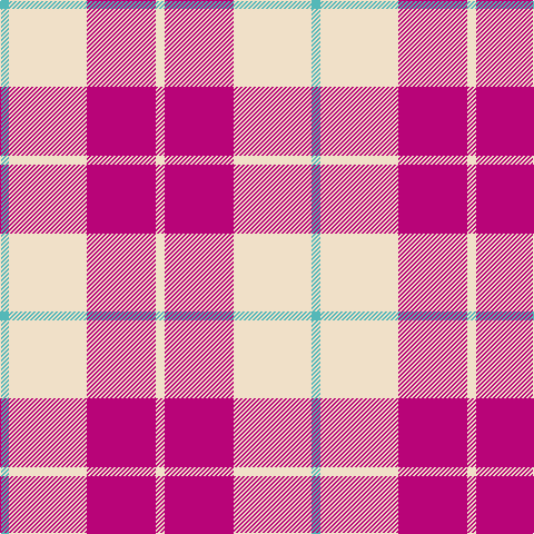 B/8 W70 R62 W/8 tartan Tartan detail
