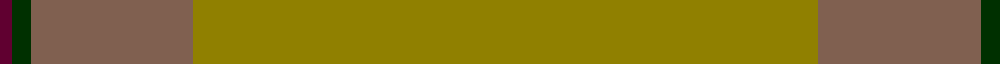 13, Irish Regiment