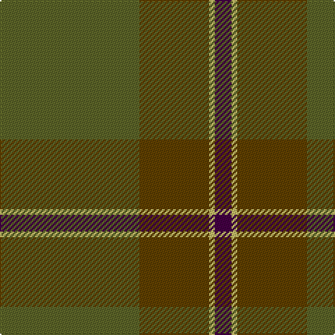 DP/12 LG4 T50 G/100 tartan Tartan detail