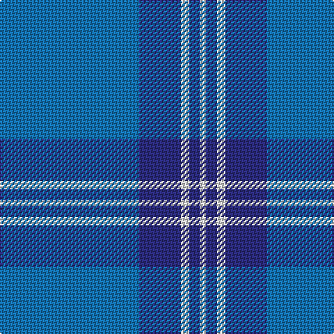 B/100 DB30 LN6 DB8 LN/4 tartan Tartan detail