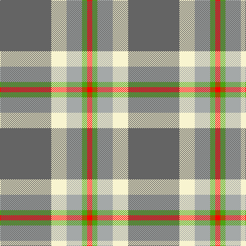 N/100 LY30 Na30 G10 R/10 tartan Tartan detail