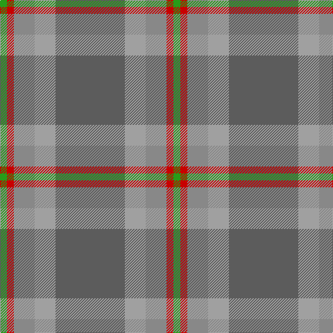 Ga/10 R10 Na30 Nb30 N/100 tartan Tartan detail