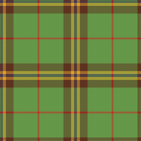 N/10 Y10 T26 LG82 R/6 tartan Tartan detail