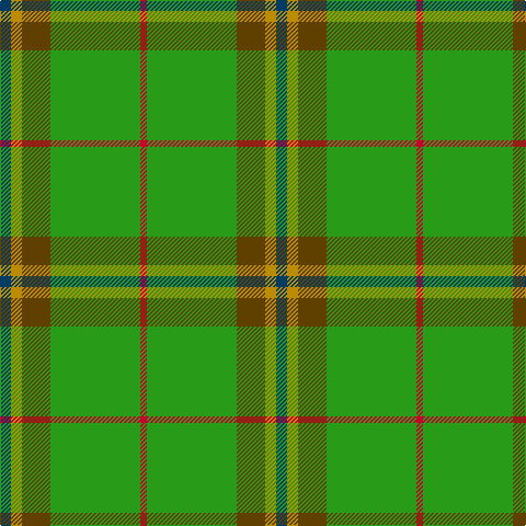DB/10 DY10 T26 G82 R/6 tartan Tartan detail
