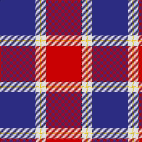 DB/120 LN16 Y4 LN16 R/120 tartan Tartan detail