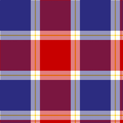 DB/120 W16 Y4 W16 R/120 tartan Tartan detail
