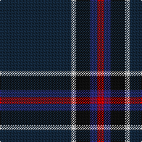 DN/120 N8 K24 DB12 R/12 tartan Tartan detail