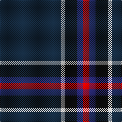 DN/120 LN8 K24 DB12 R/12 tartan Tartan detail
