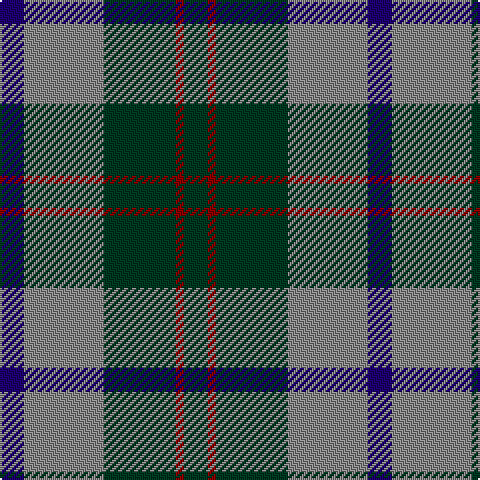 DB/12 N40 DG36 DR4 DG/12 tartan Tartan detail