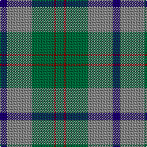 DB/12 N40 G36 DR4 G/12 tartan Tartan detail