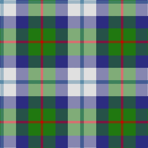 B/12 LN40 DB40 G40 R/8 tartan Tartan detail