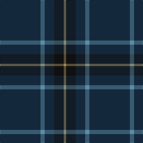 DN/136 B14 DN32 K32 LT/8 tartan Tartan detail