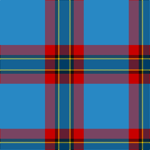 B/144 R32 K10 Y4 DB/32 tartan Tartan detail