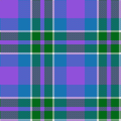 P/72 B48 LN8 G32 P/16 tartan Tartan detail