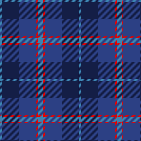 B/8 DB58 Ba58 R6 B/16 tartan Tartan detail