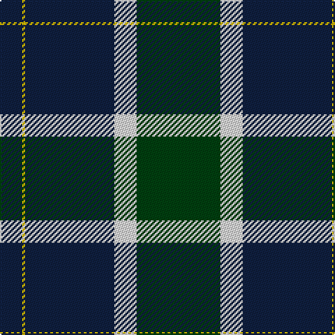 DB/16 Y2 DB64 LN16 DG/60 tartan Tartan detail