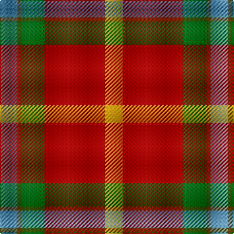 B/18 T4 G24 DR62 DY/18 tartan Tartan detail