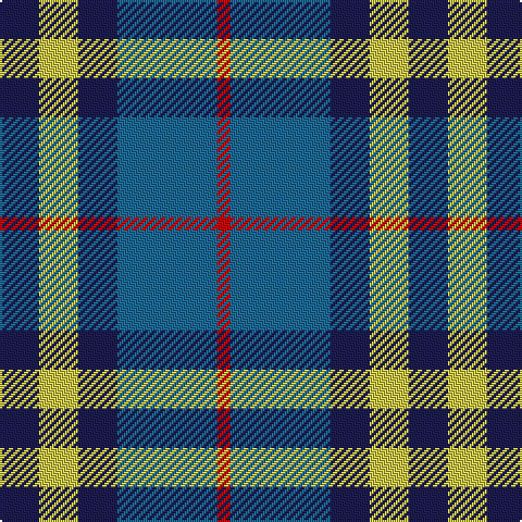 DB/18 LG18 DB18 B46 R/6 tartan Tartan detail