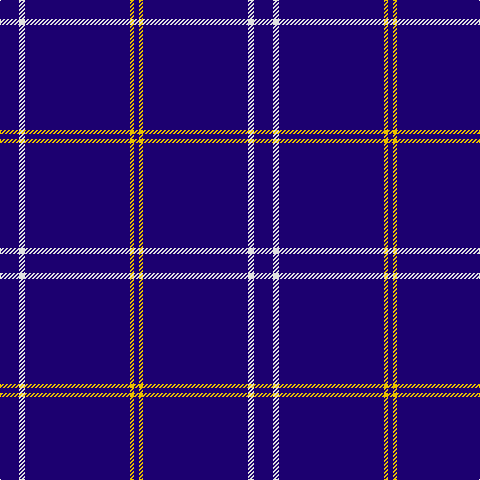 DB/19 LN6 DB105 Y4 DB/5 tartan Tartan detail