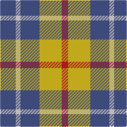 B/20 LN6 B24 Y28 R/8 tartan Tartan detail