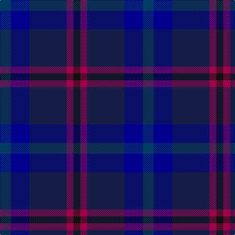 DBb/22 DB38 DBa76 R14 K/14 tartan Tartan detail