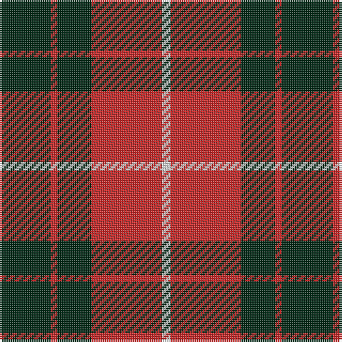 DG/24 R3 DG16 R33 LN/4 tartan Tartan detail