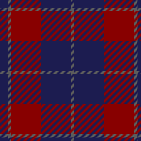 DB/26 N12 DR102 DB102 N/10 tartan Tartan detail