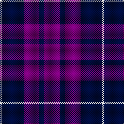 LN/4 DB42 P30 DB10 P/30 tartan Tartan detail
