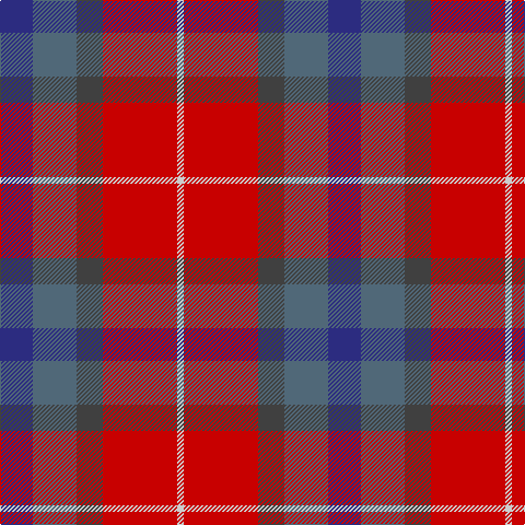 DB/30 Nb40 N24 R68 Na/6 tartan Tartan detail