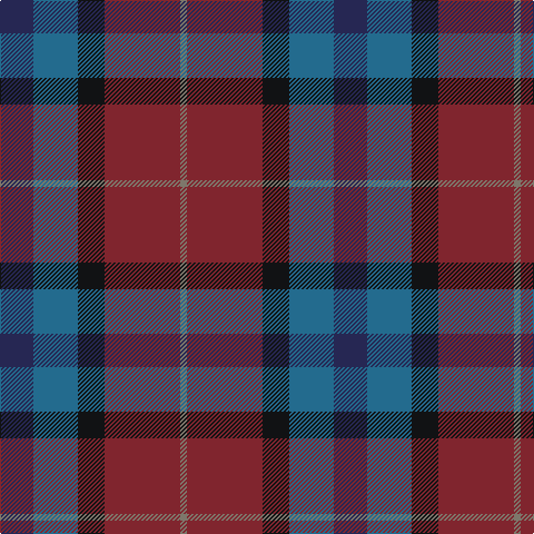 DB/30 B40 K24 DR68 N/6 tartan Tartan detail