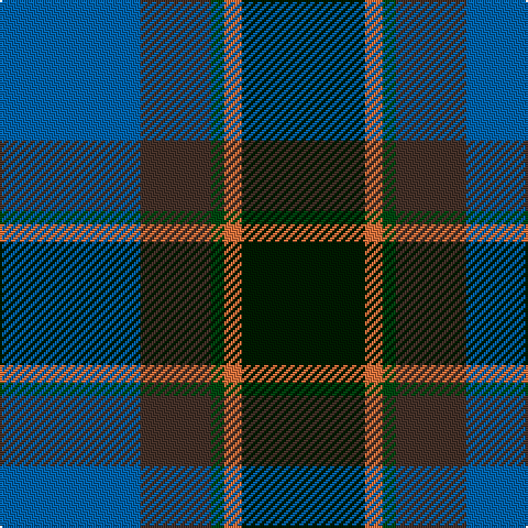 B/64 T32 DGa6 O8 DG/56 tartan Tartan detail