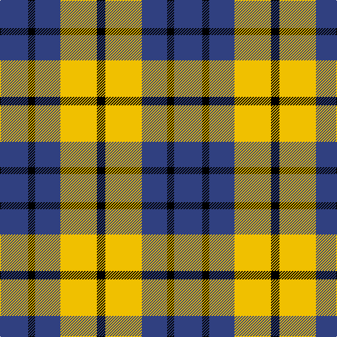 B/40 K10 B36 Y52 K/12 tartan Tartan detail