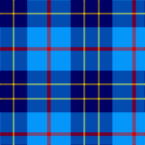 DB/42 Y6 DB42 B66 R/12 tartan Tartan detail