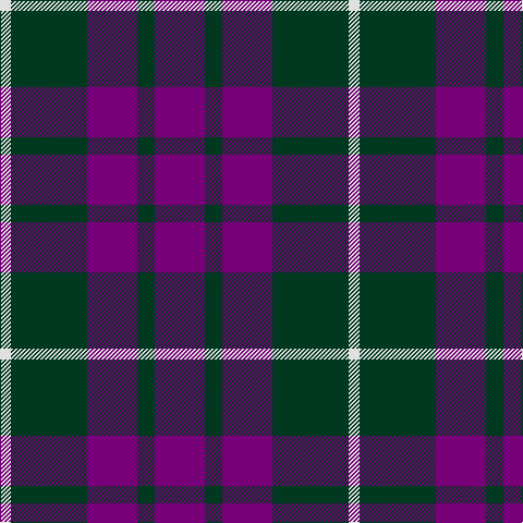 LN/10 DG70 P46 DG16 P/46 tartan Tartan detail