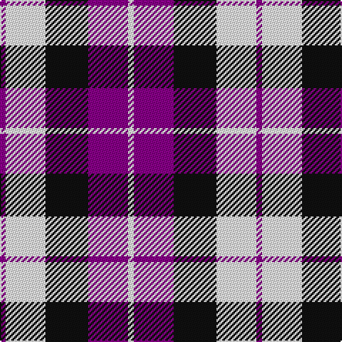 P/4 W28 K30 P28 W/4 tartan Tartan detail