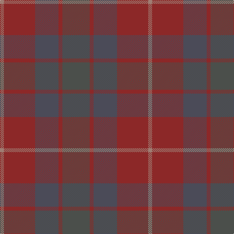 LT/8 DR64 N48 DR8 Na/56 tartan Tartan detail