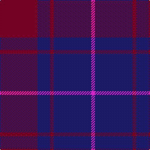 DR/60 DB20 DR6 DB60 LR/6 tartan Tartan detail