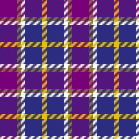 P/60 LT14 W12 DB60 Y/16 tartan Tartan detail