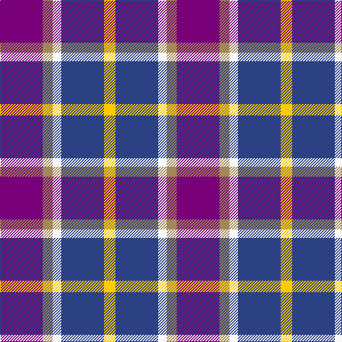 P/60 LT14 W12 B60 Y/16 tartan Tartan detail
