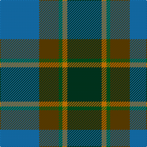 B/64 T32 G6 O8 DG/56 tartan Tartan detail