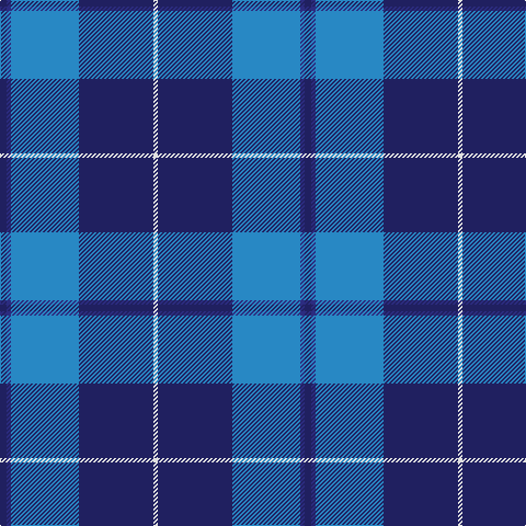 DB/6 DBa4 B62 DB68 LN/4 tartan Tartan detail