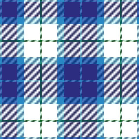 B/6 DB54 B24 W54 G/6 tartan Tartan detail
