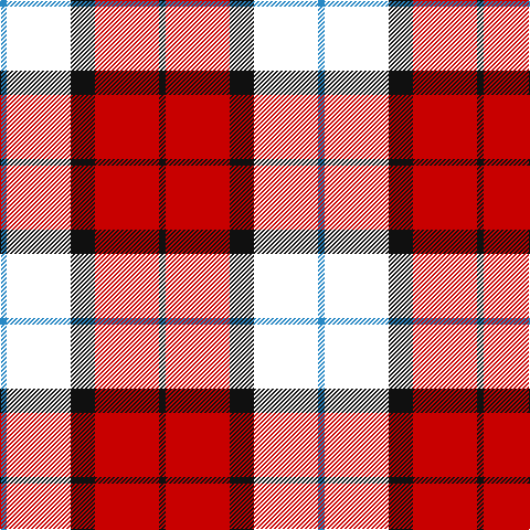 B/6 W58 K22 R58 K/6 tartan Tartan detail