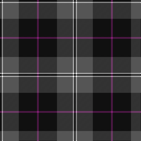 K/6 W4 N54 K62 P/6 tartan Tartan detail