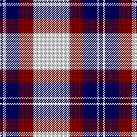 DB/6 W4 DB24 DR24 W/64 tartan Tartan detail