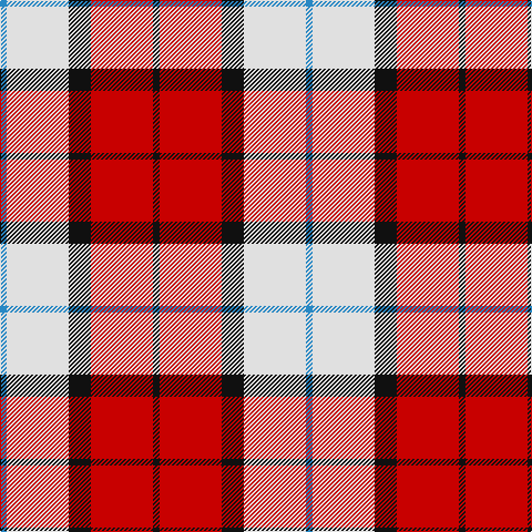 B/6 LN56 K20 R56 K/6 tartan Tartan detail