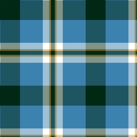 DG/70 B80 W22 Y6 DG/14 tartan Tartan detail