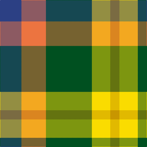 B/70 O80 G150 Y60 DY/30 tartan Tartan detail