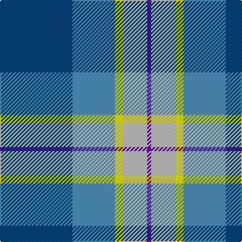 DB/72 B42 Y8 N24 P/4 tartan Tartan detail